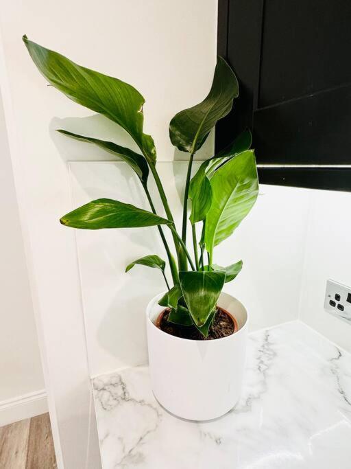 Beautiful Flat In Windsor Court Daire Brighton Dış mekan fotoğraf